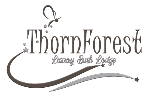 ThornForest Luxury Bush Lodge